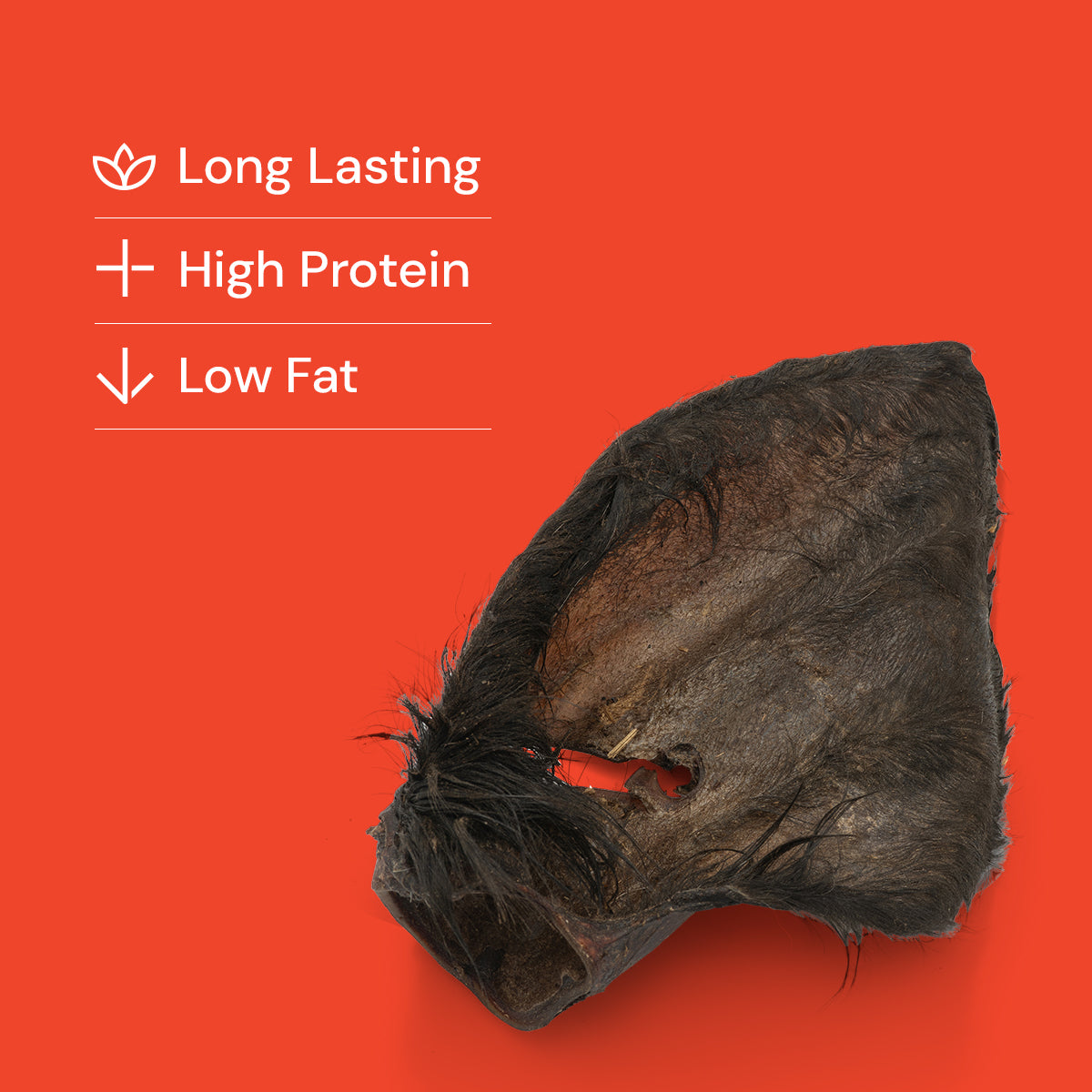 Medium Hairy Cow Ears