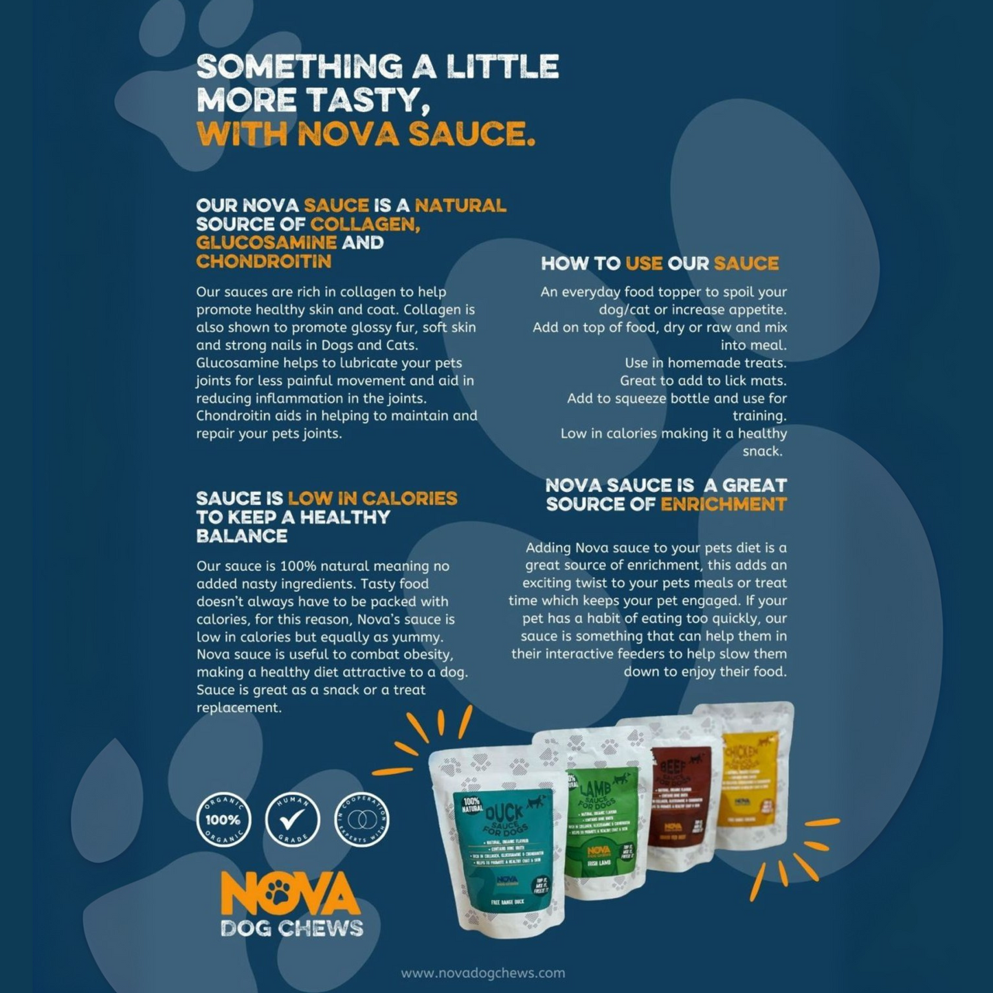 Natural Sauces 100ml (Best Before Dec 2025)