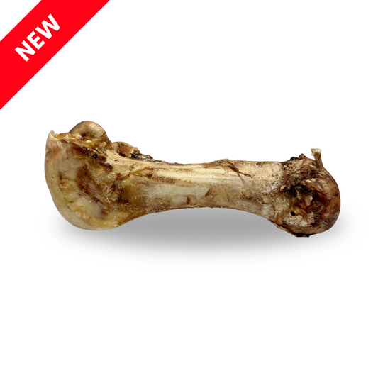 Jumbo Ostrich Bones (1pc & 5pcs)