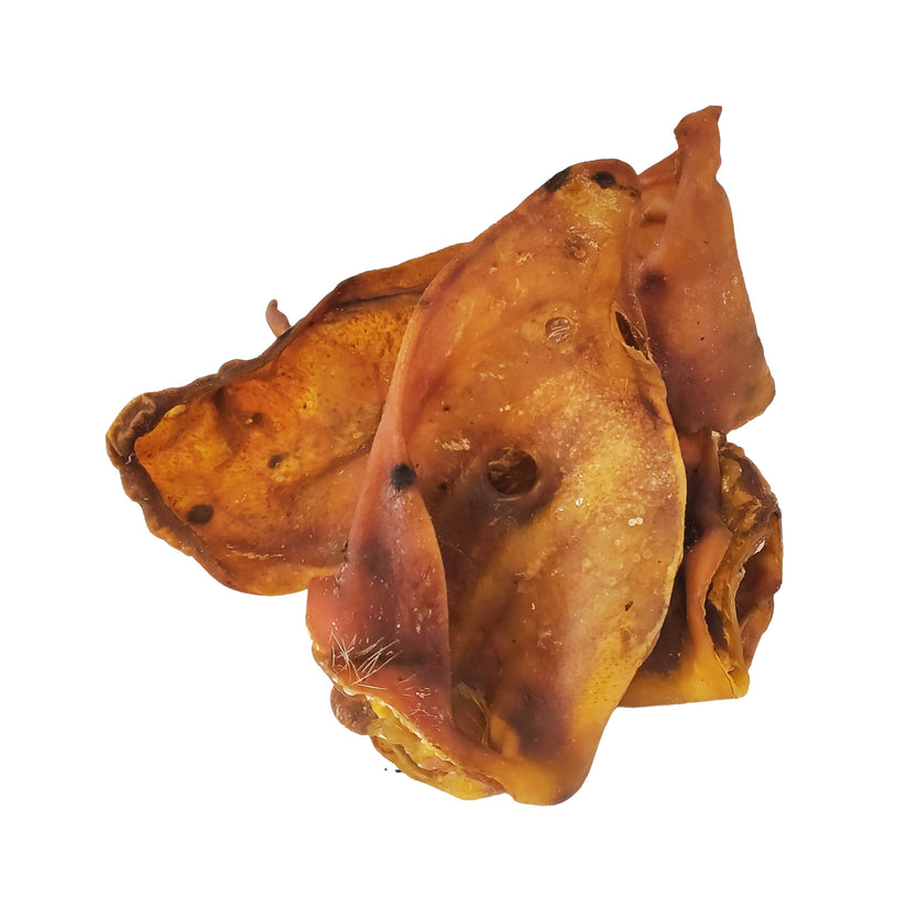 Shop Pigs Ears Grade A (5pcs, 10pcs & 50pcs nets) Online Pet Treats