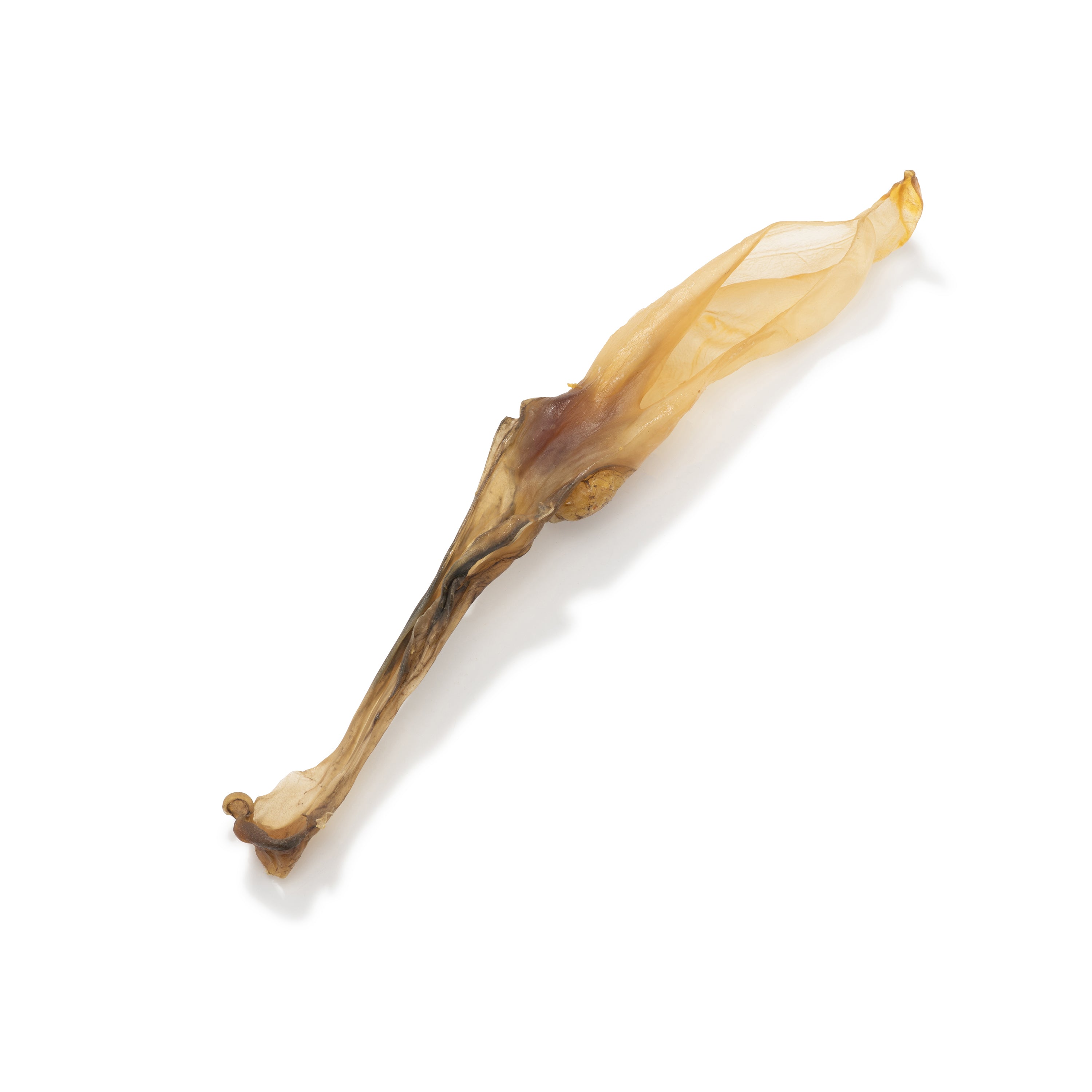 Shop Rabbit Ears (250g, 500g, 1kg & 8kg bags) Online - Pet Treats ...