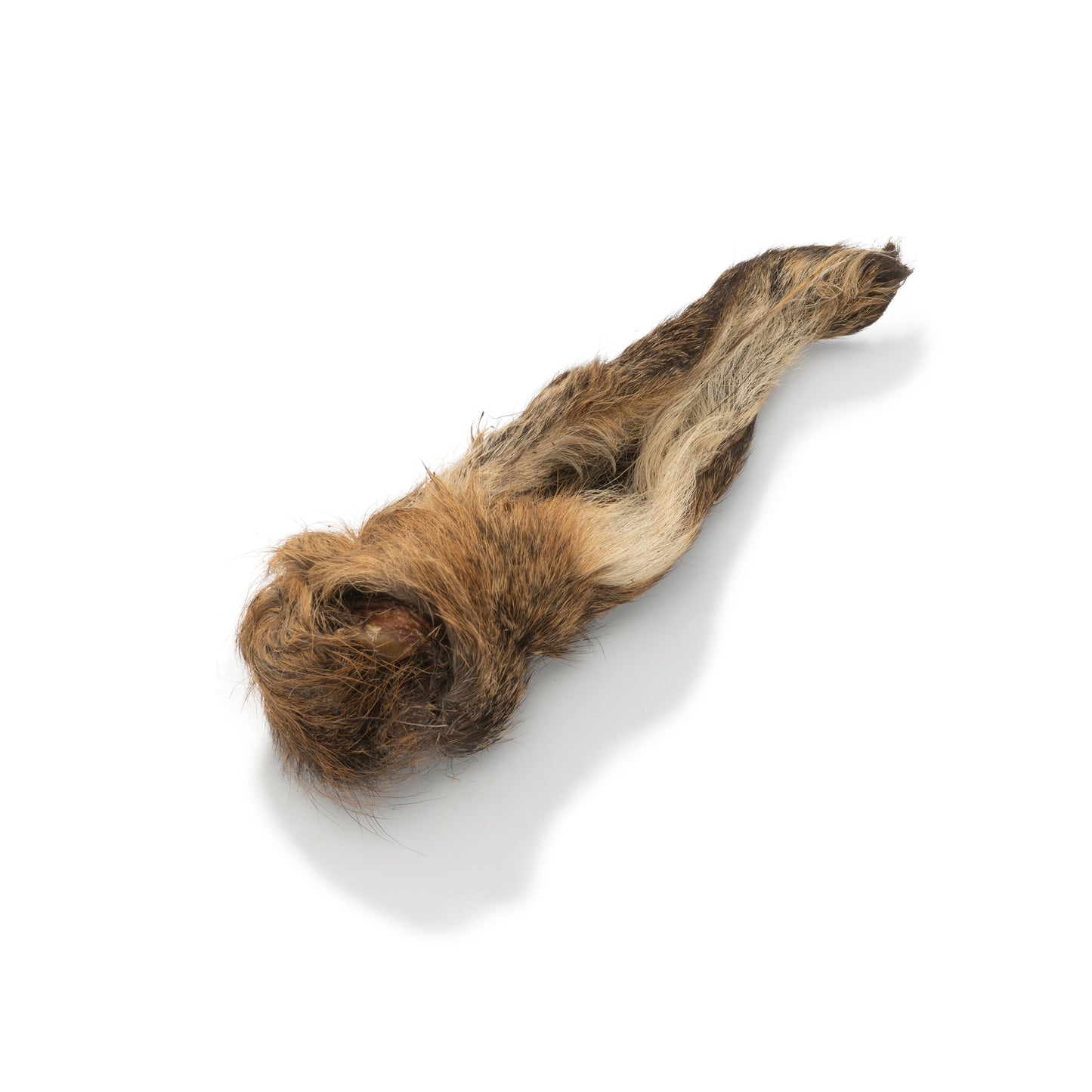Hairy Venison Ears