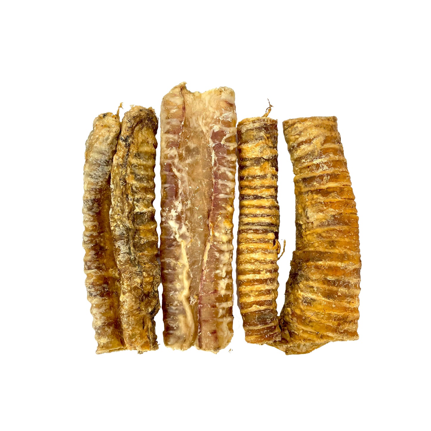 Cut Trachea "Cut Gullet"