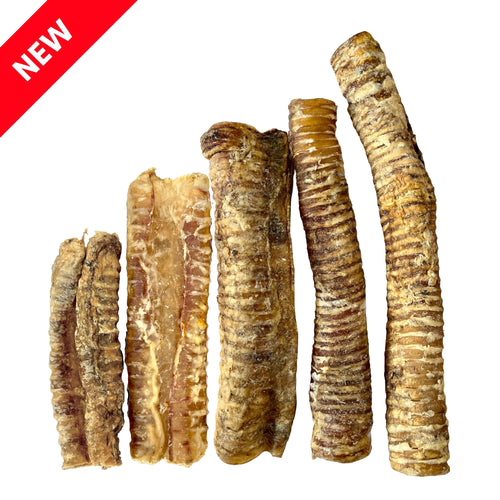 Mixed Trachea 15-30cm