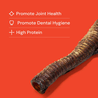 Whole Trachea "Whole Gullet"