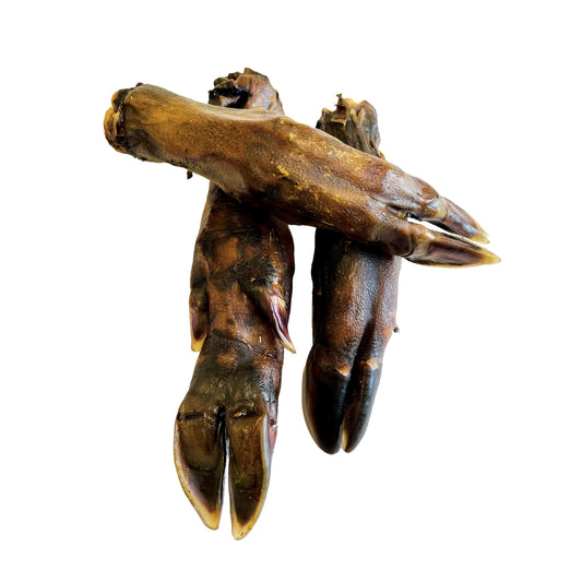 Wild Boar Legs (5pcs & 10pcs)