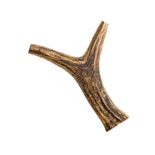 Antlers (S, M, L & XL - 1pc)