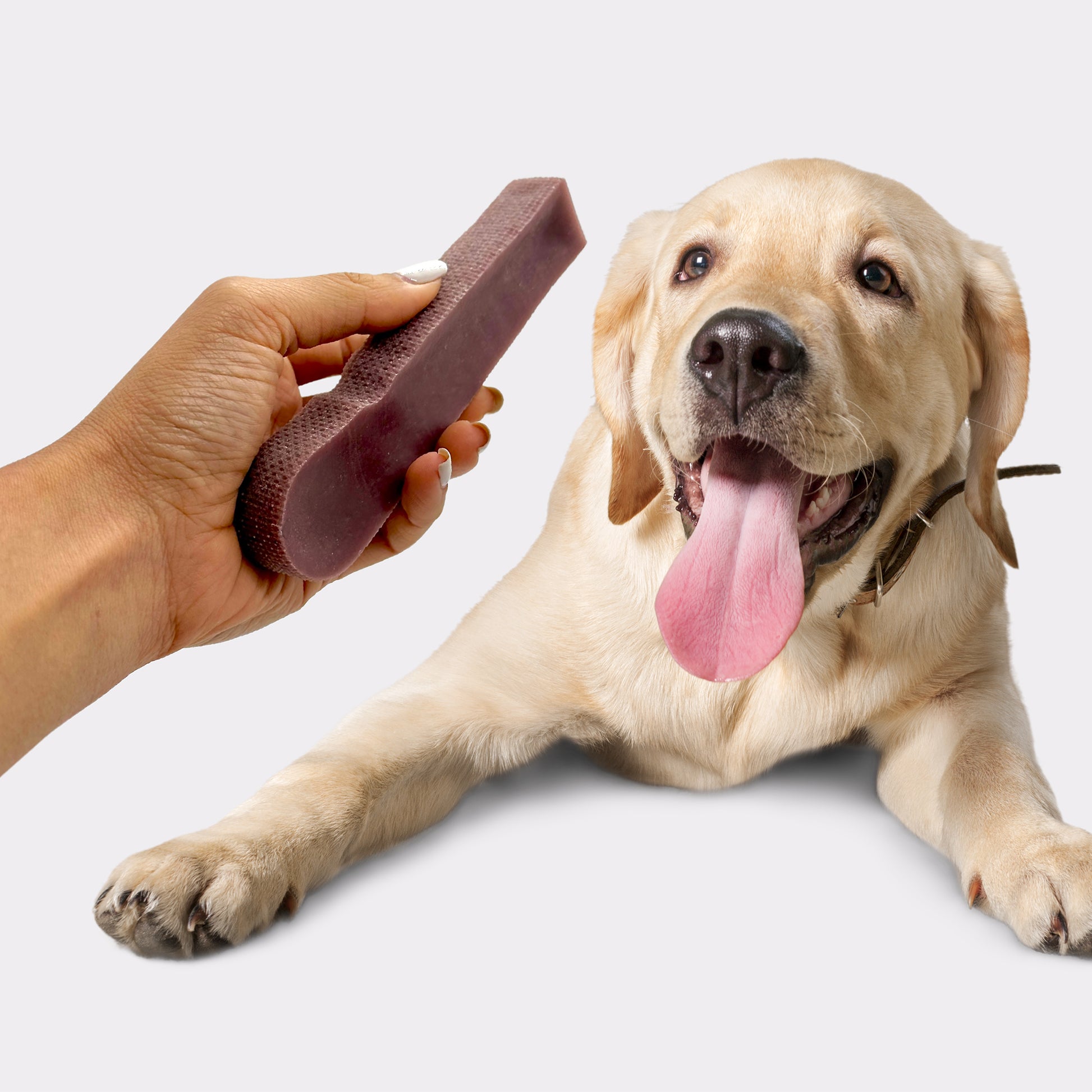 Yakers Dog Chew Pets At Home Yakers Himalayan Dog Chew Mint Free