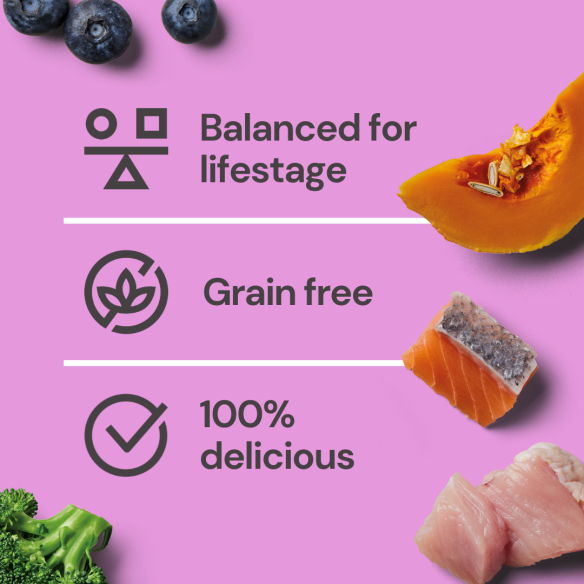 Nutriment Gently Steamed - Turkey & Salmon for Senior Dogs 395g