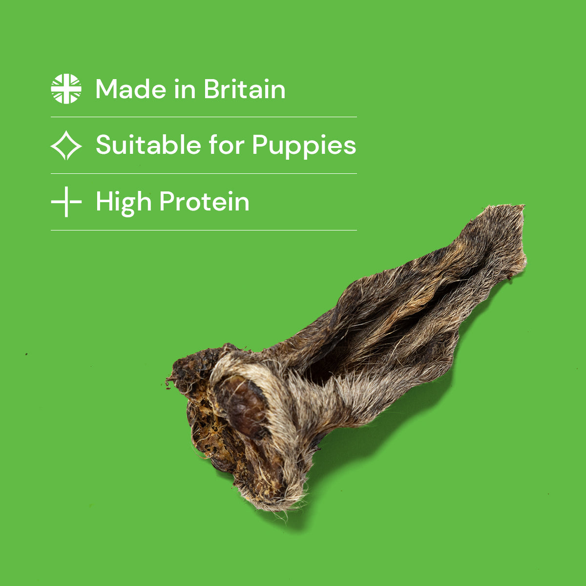 Hairy Lamb Ears
