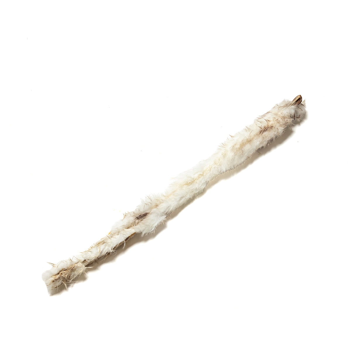Whole Rabbit Skins with Fur