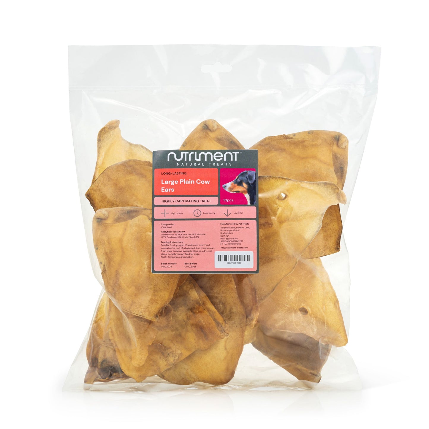 Large Cow Ears - no hair