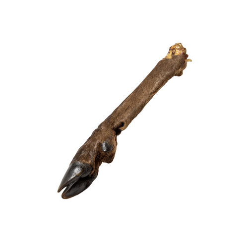 Large Venison (Deer) Legs - with fur/hair & no fur/hair (1pc nets)