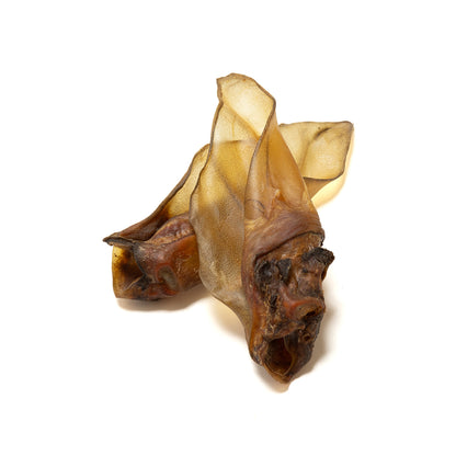 Large Cow Ears - no hair