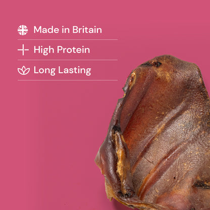 Pigs Ears - Grade A