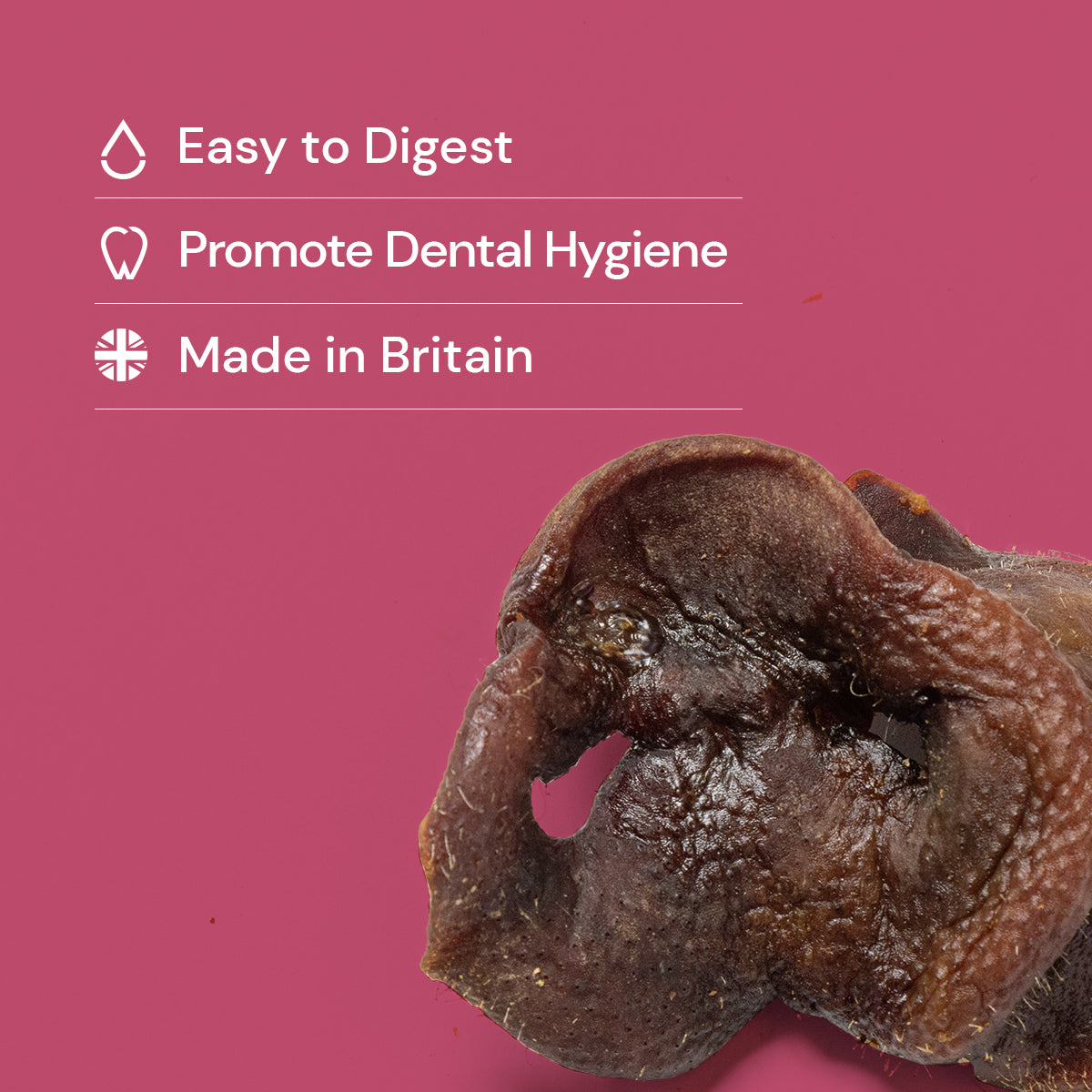 Pig Snouts
