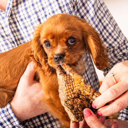 Puffed Jerky "Beef Lung"