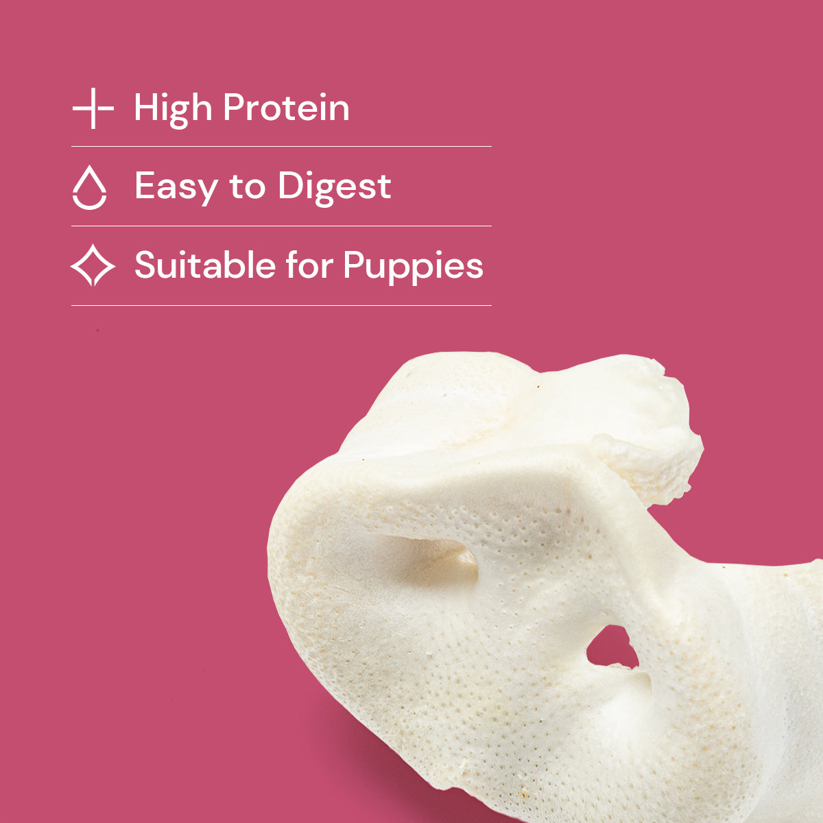 Large Puffed Pig Snouts