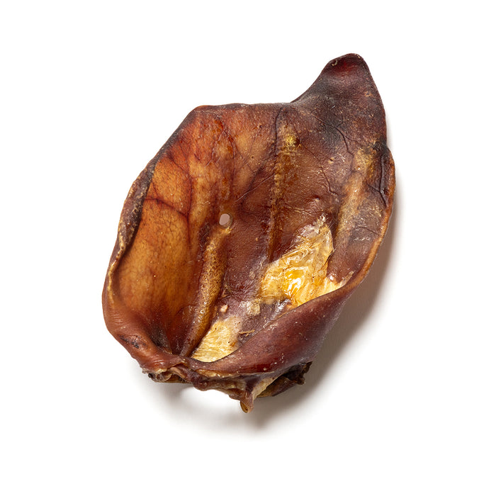 Sow Ears "Extra Large Pig Ears"