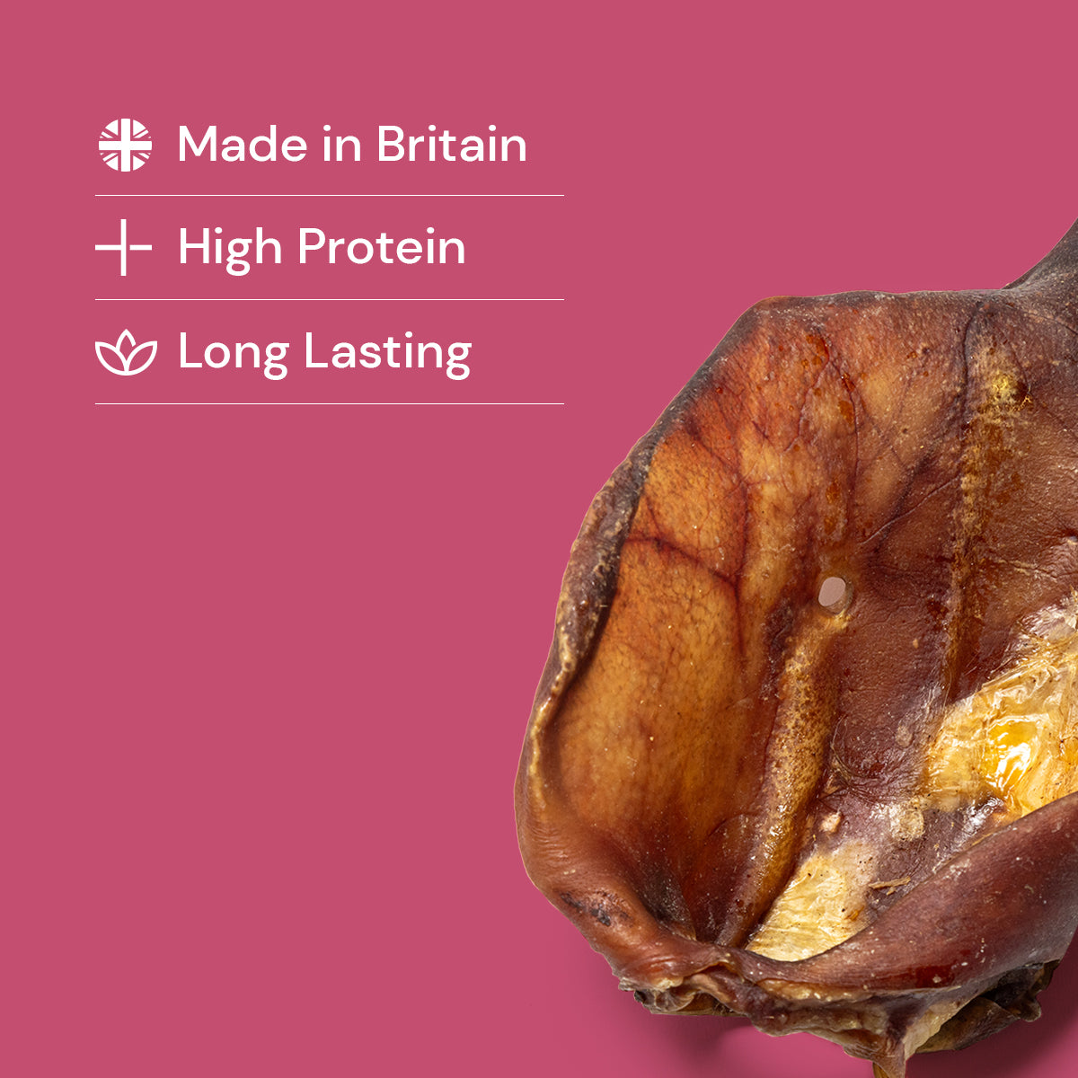 Sow Ears "Extra Large Pig Ears"