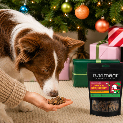 Gourmet Slices - Festive Flavours