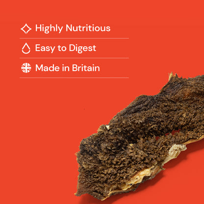 Tripe - British