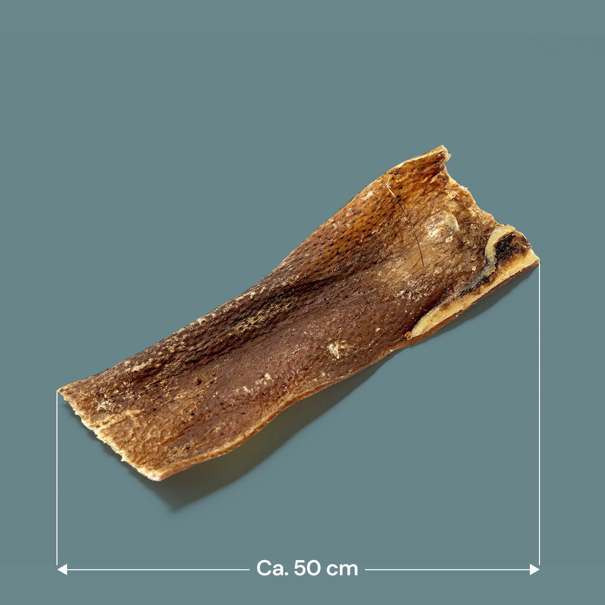 Wild Boar Skins