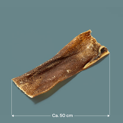 Wild Boar Skins