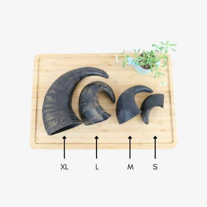 Buffalo Horns - XL/Large/Medium/Small (1pc)