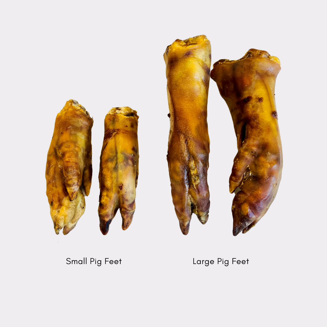 Shop Pig Feet "Pig Trotters" Large & Small (4pcs) Online Pet Treats
