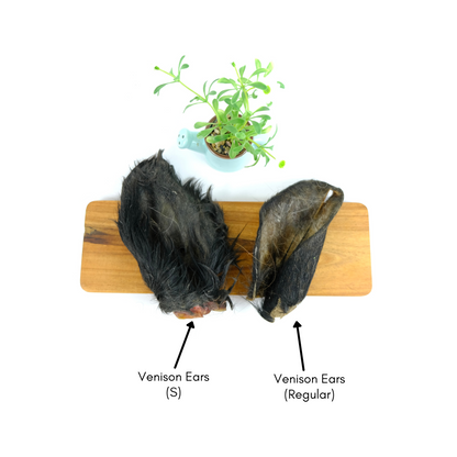 Medium Hairy Cow Ears (1kg & 10pcs bag)