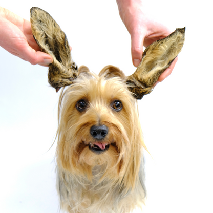 Hairy Venison Ears (Regular: 10pcs & 100pcs & Small: 500g & 4kg)