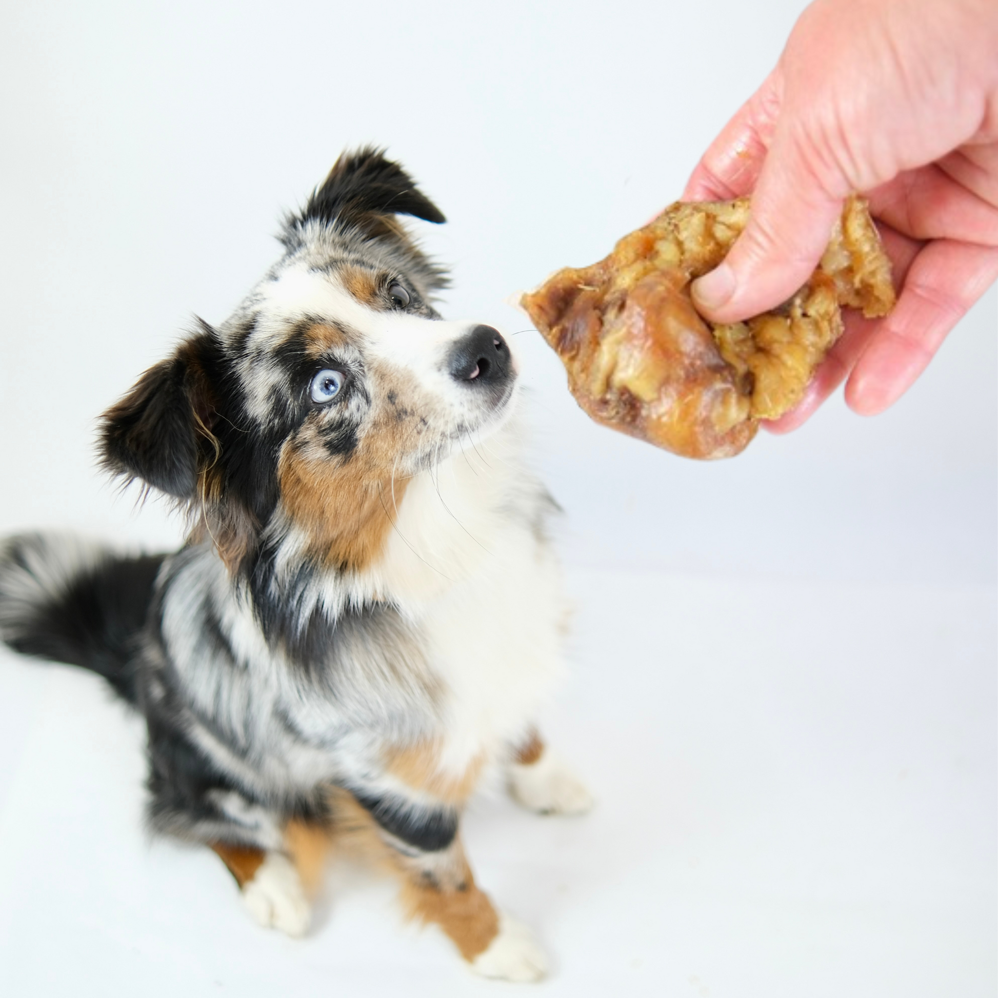 Pork Crunch Inner Ears 1kg bags