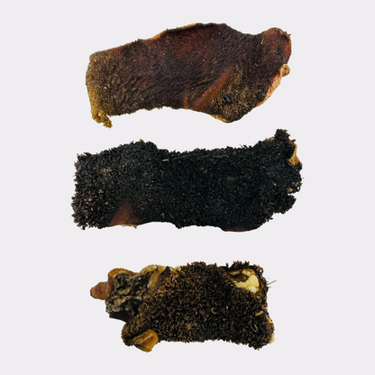 Raw green hotsell tripe near me