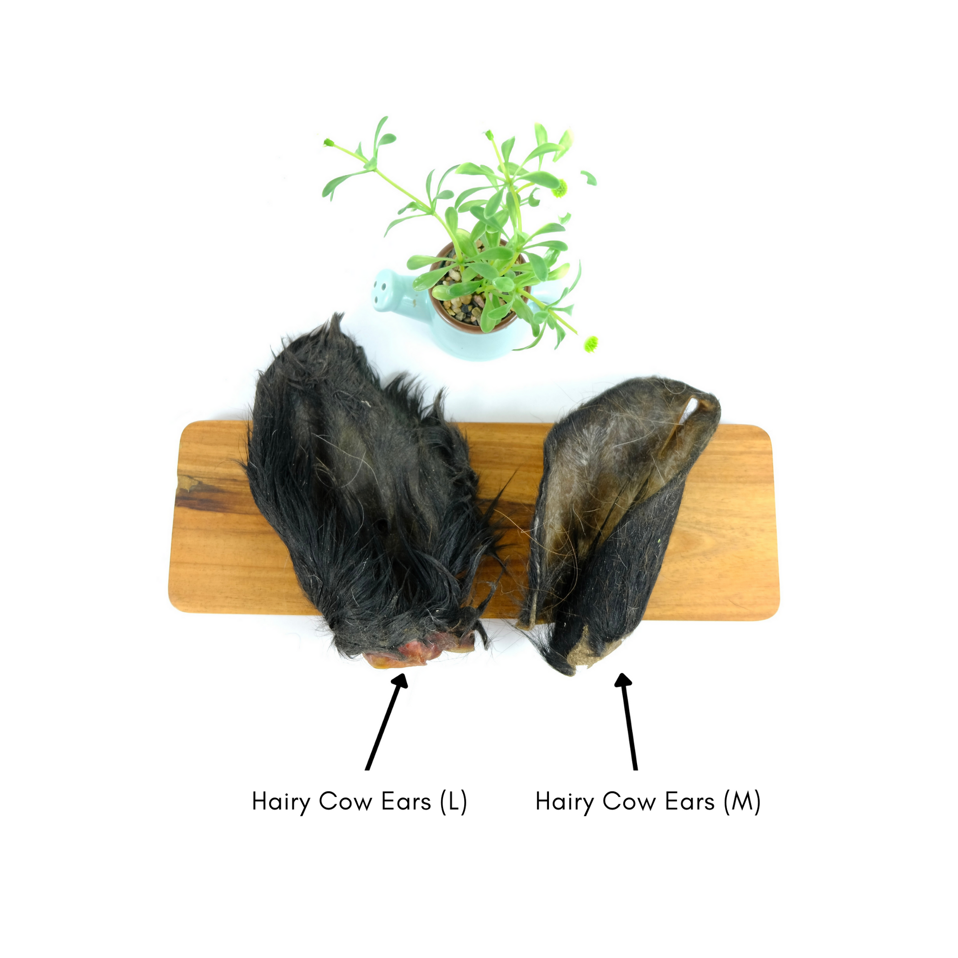 Natural sales cow ears