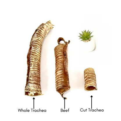 Cut Trachea "Cut Gullet" (500g & 1kg bags & 5kg boxes)