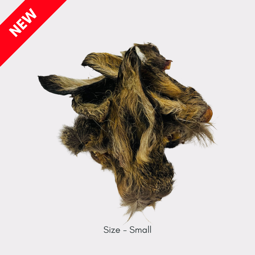 Hairy Venison Ears (Regular: 10pcs & 100pcs & Small: 500g & 4kg)