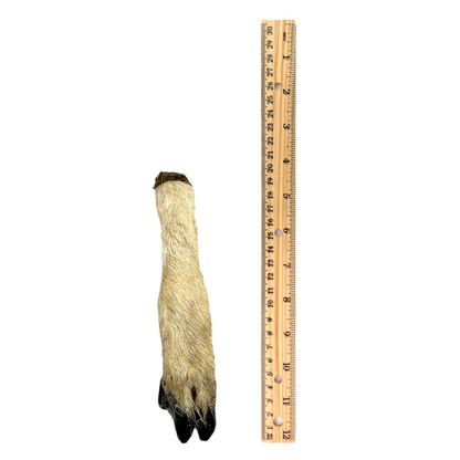 Hairy Lamb Legs "Lamb Feet" (5pcs, 10pcs & 50pcs)