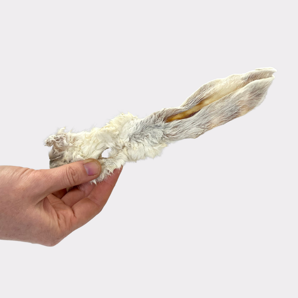 Shop Hairy Rabbit Ears (250g, 500g, 1kg, 5kg & 10kg) Online - Pet ...