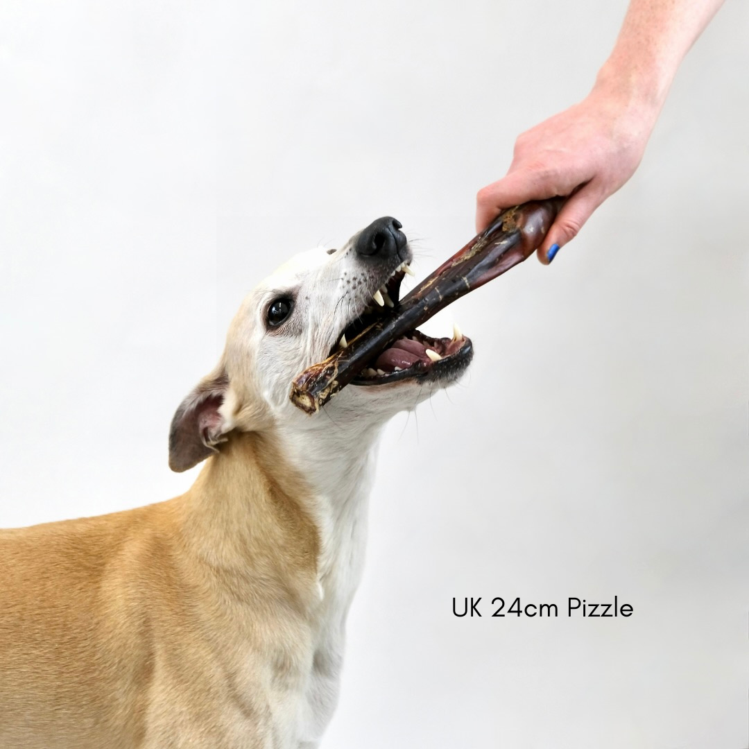 Shop 24cm Extra Long Pizzles Bully Sticks 1kg bag Online Pet Treats Wholesale Limited www.natural treats